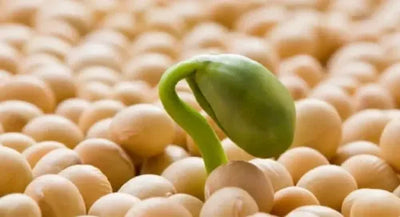 Biocapigen Veg