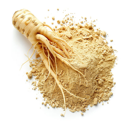 Extrait de racine de ginseng